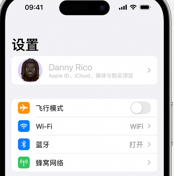 吴兴appleID维修服务iPhone设置中Apple ID显示为灰色无法使用