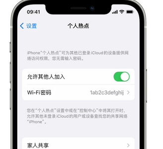 吴兴apple服务站点分享iPhone上个人热点丢失了怎么办 