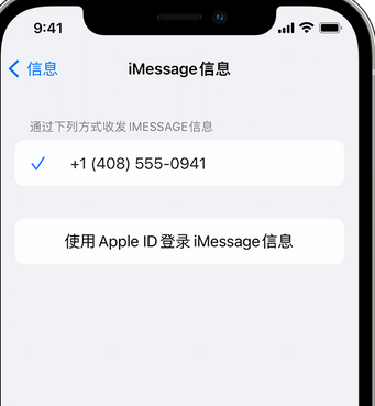 吴兴apple维修iPhone上无法正常发送iMessage信息 