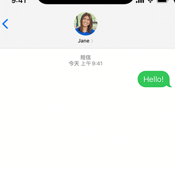 吴兴apple维修iPhone上无法正常发送iMessage信息