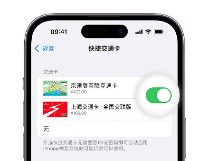 吴兴apple维修点分享iPhone上更换Apple Pay快捷交通卡手绘卡面 