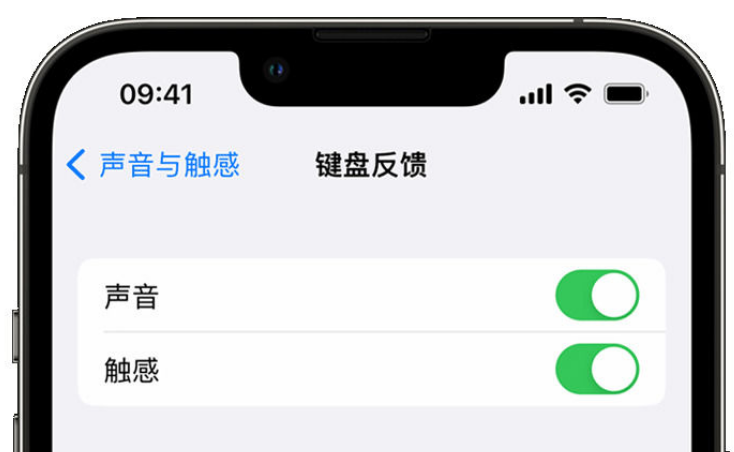 吴兴苹果手机维修分享iPhone 14触感键盘使用方法 