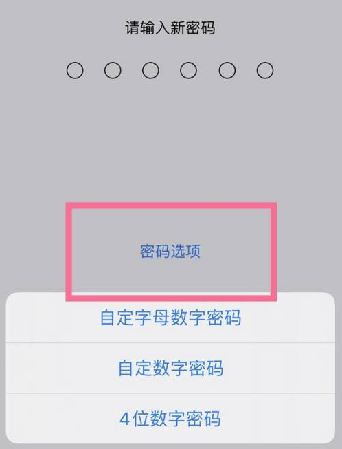 吴兴苹果14维修分享iPhone 14plus设置密码的方法 