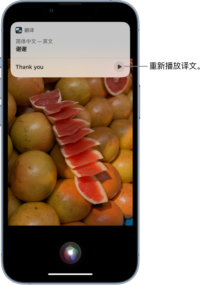 吴兴苹果14维修分享 iPhone 14 机型中使用 Siri：了解 Siri 能帮你做什么 