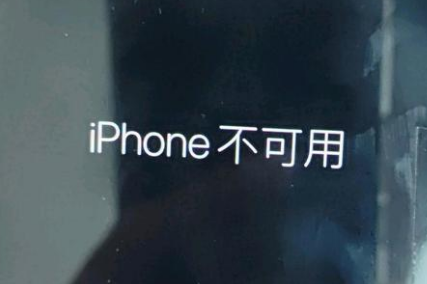 吴兴苹果服务网点分享锁屏界面显示“iPhone 不可用”如何解决 