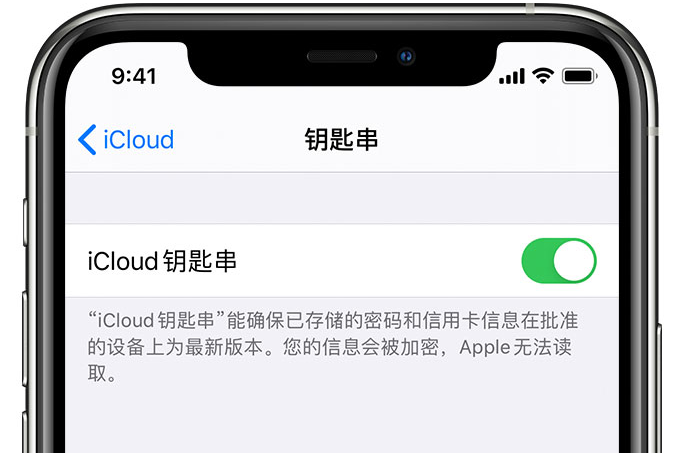 吴兴苹果手机维修分享在 iPhone 上开启 iCloud 钥匙串之后会储存哪些信息 