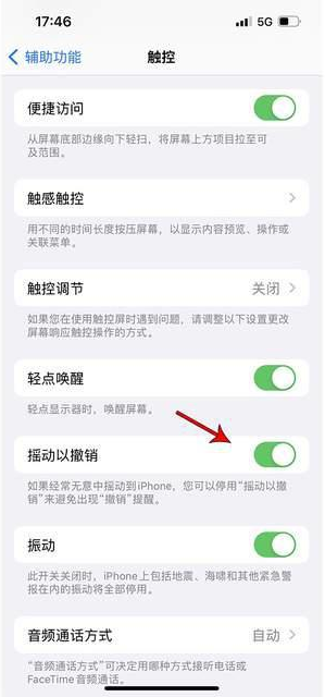 吴兴苹果手机维修分享iPhone手机如何设置摇一摇删除文字 