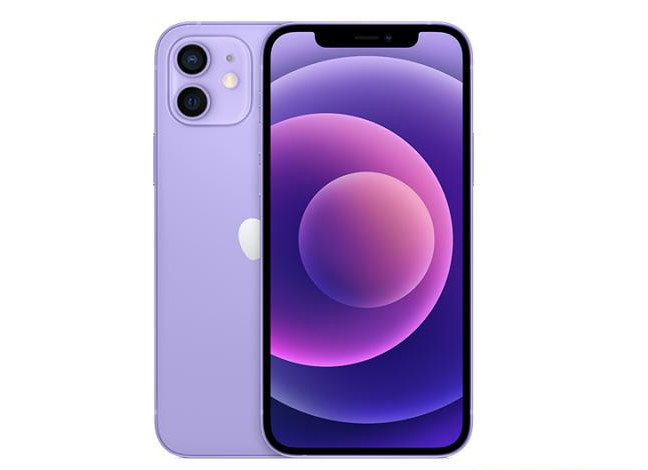 吴兴苹果手机维修分享现阶段要不要入手紫色版iPhone12 
